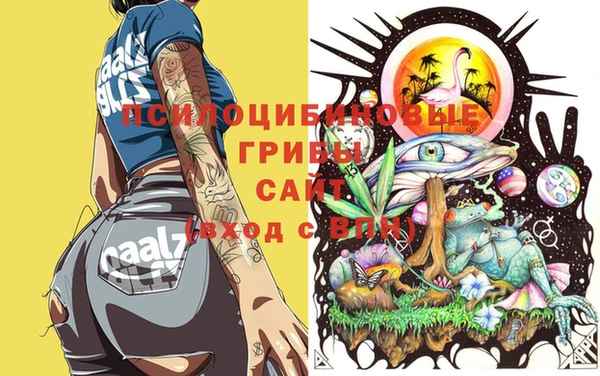 синтетический гашиш Кинешма