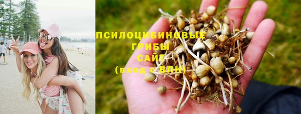 метадон Киреевск