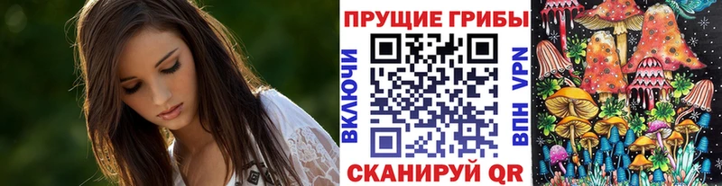 Купить где  Хасавюрт  Псилоцибиновые грибы Psilocybe 
