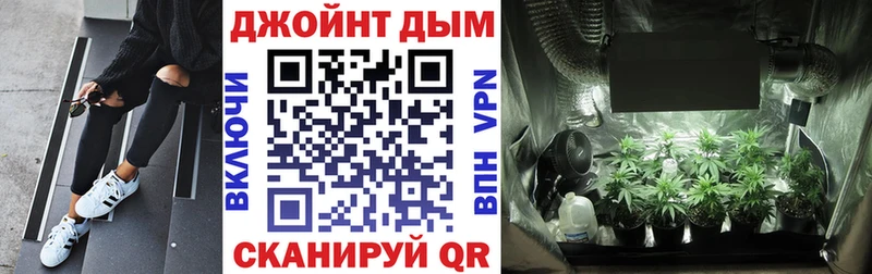 Шишки марихуана планчик Купить Хасавюрт